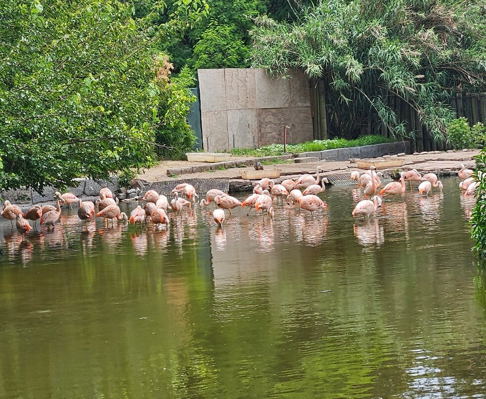 Eco Parque-布宜诺斯艾利斯必去景点