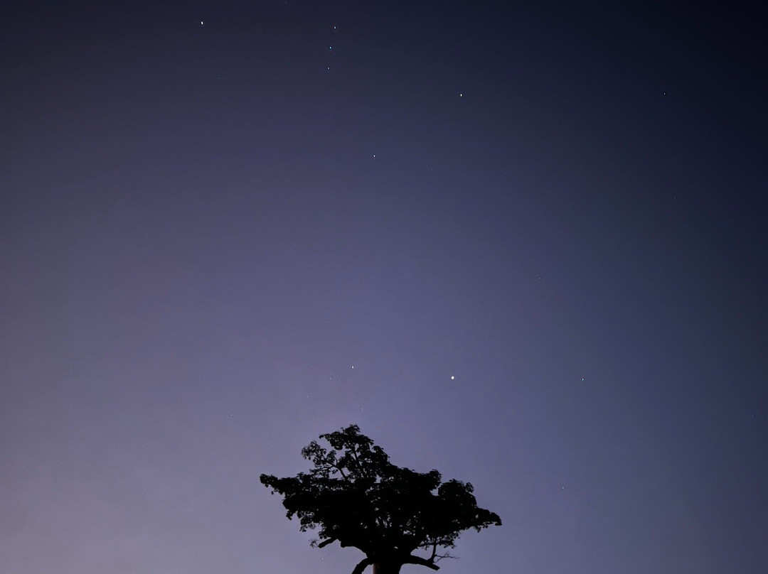 Tours in Madagascar with Emmanuel-Miandrivazo必去景点