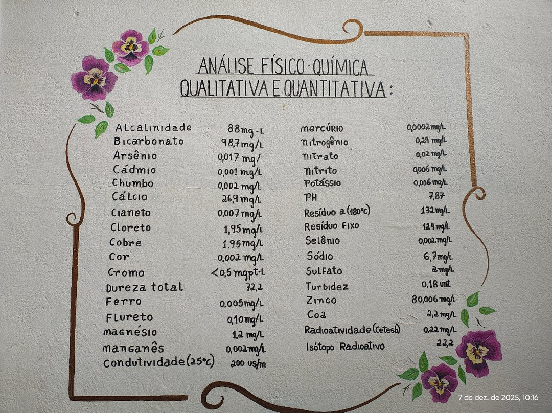 Balneário Mizael Marques Sobrinho-Aguas de Santa Barbara必去景点