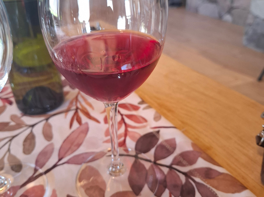 Bodega Kindgard-普尔马马尔卡必去景点