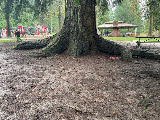 Blyth Park-博塞尔必去景点