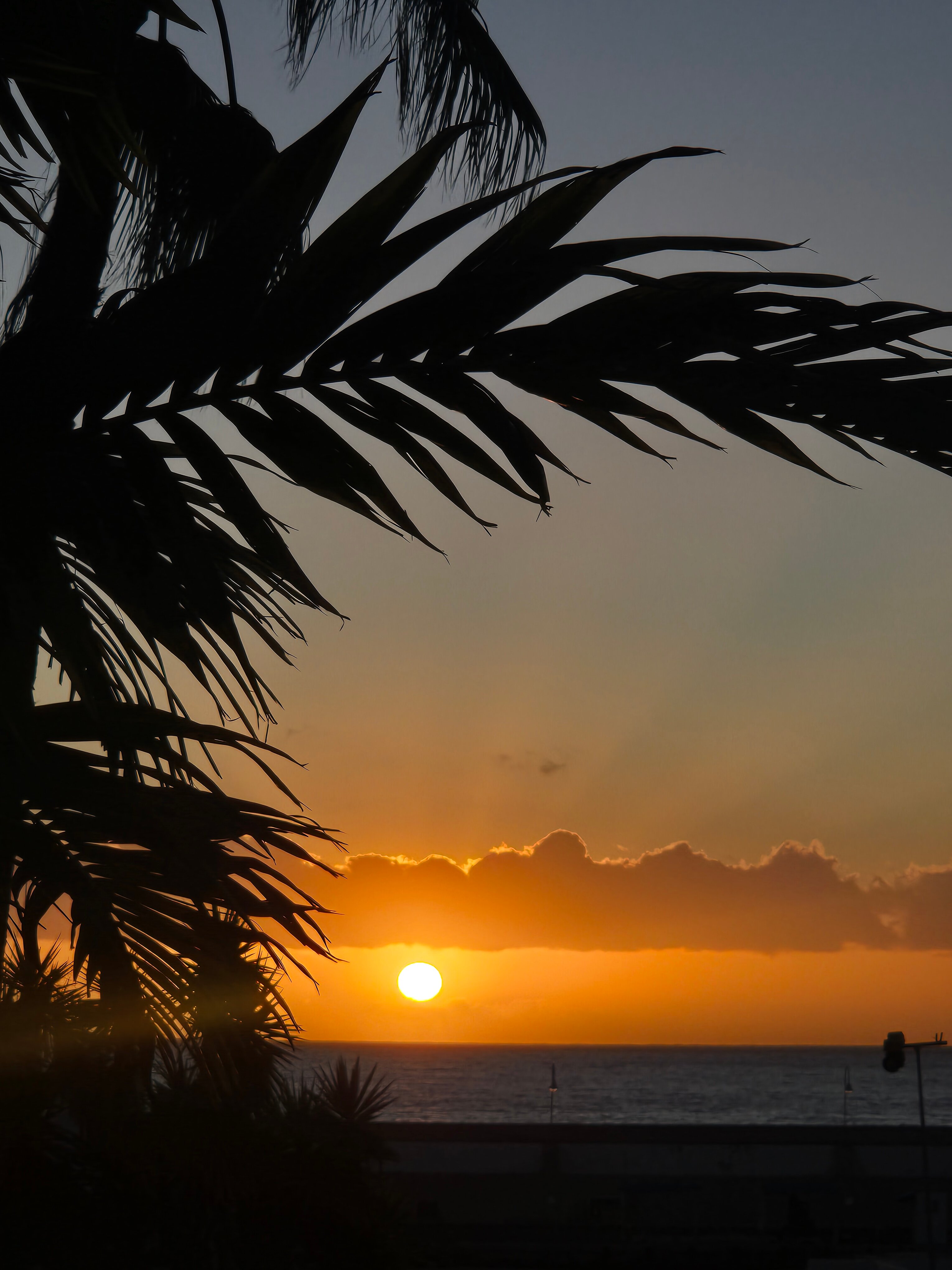 滨海套房酒店-酒店景观