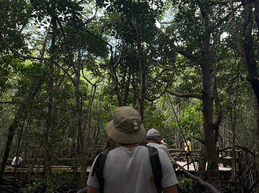 Zanzibar Destination-石头城必去景点