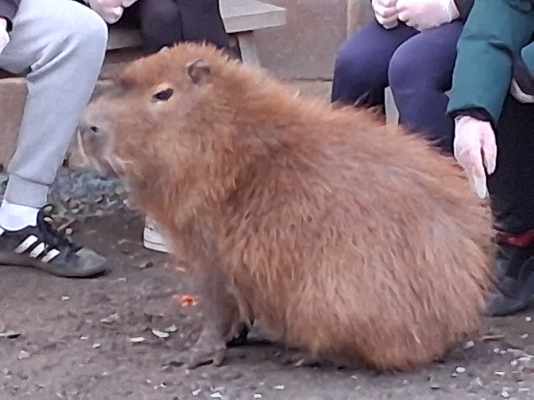 Wild Discovery-普雷斯顿必去景点