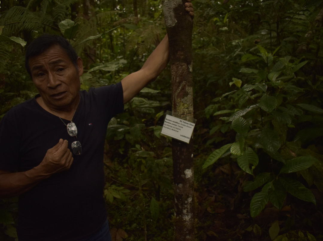 Parque Etnobotanico Omaere-Puyo必去景点