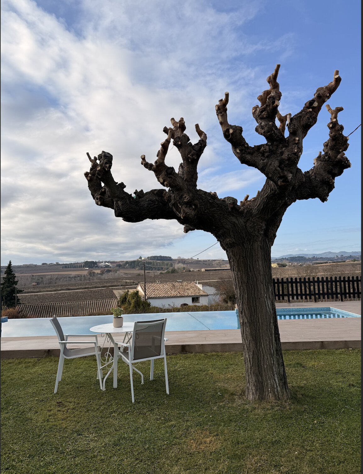 B&B Wine and Cooking Penedès-泳池