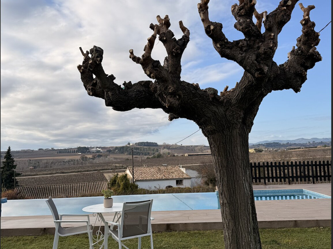 B&B Wine and Cooking Penedès主图