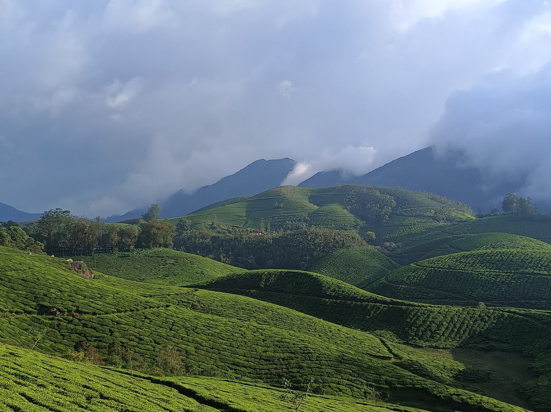 My Kerala Taxi Cab-Perumbavoor必去景点