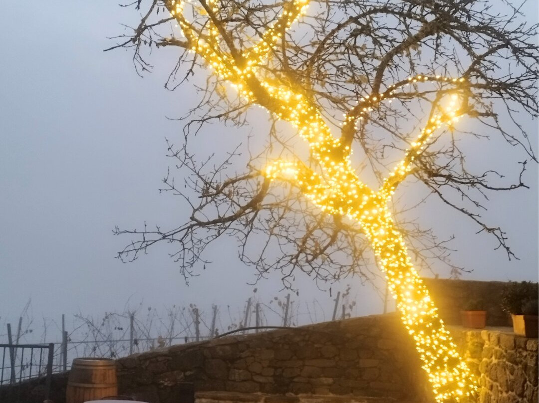 Via Romana Adegas e Vinedos-Chantada必去景点