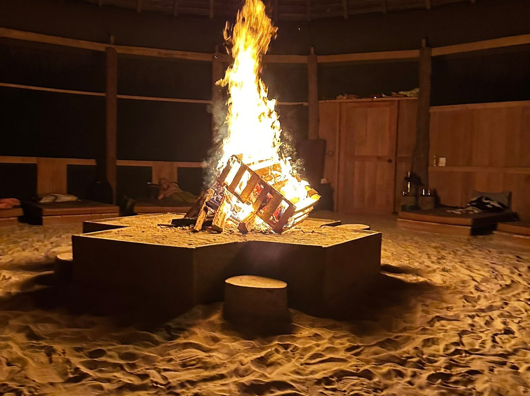 Psychonauta Foundation-伊基托斯必去景点