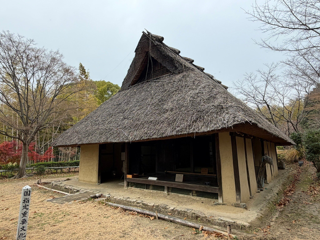 Open-Air Museum of Old Japanese Farm Houses-丰中市必去景点