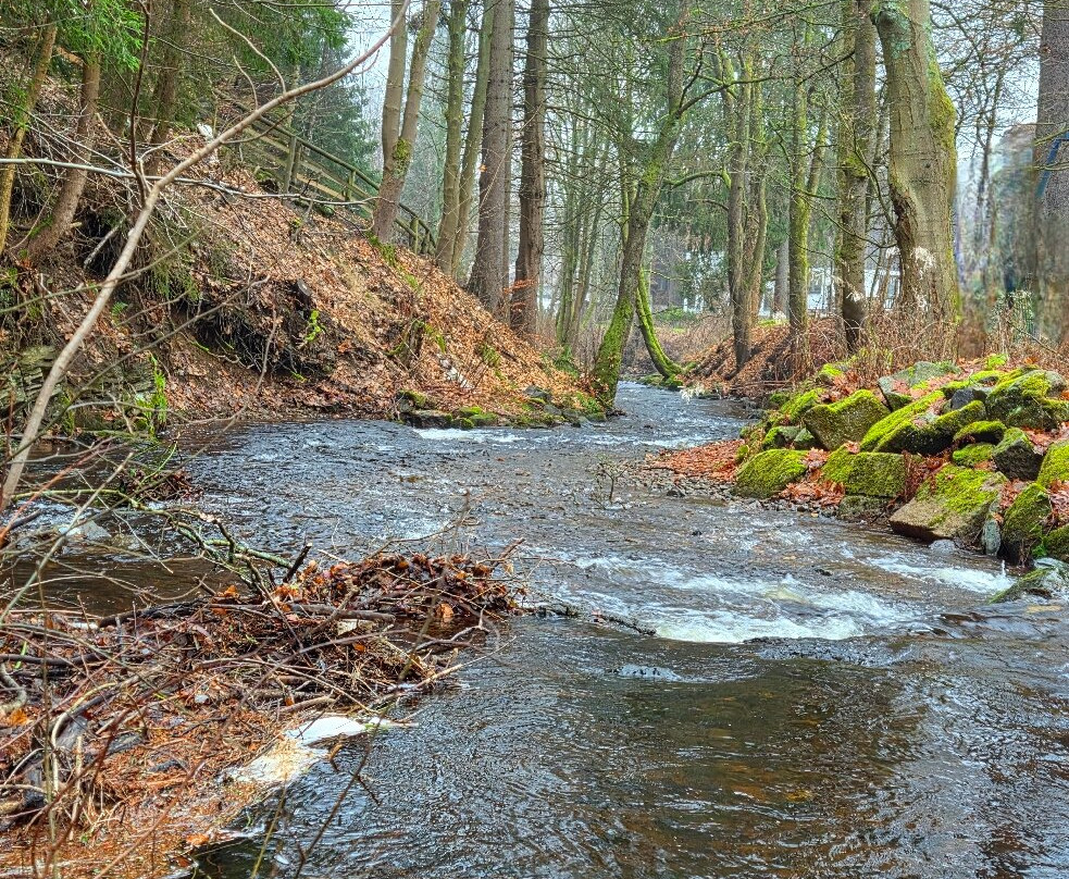Hapimag Resort Braunlage主图