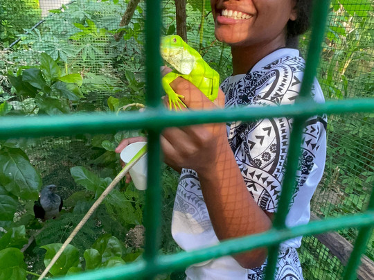 Turtle Beach Bungalow & Tours-Pele Island必去景点