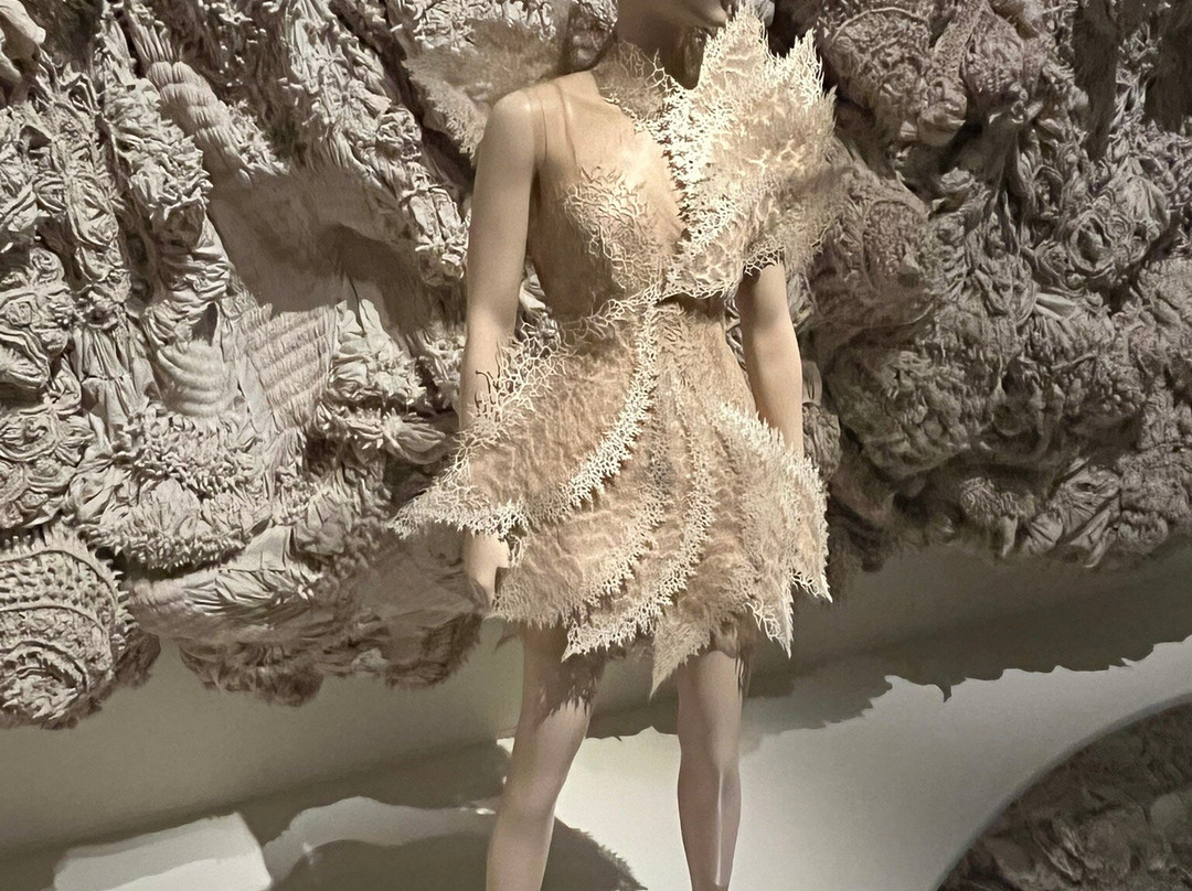 昆莎美术馆-鹿特丹必去景点