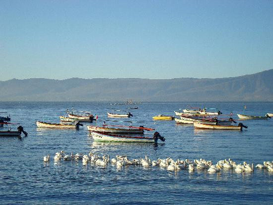 Lake Chapala Inn主图