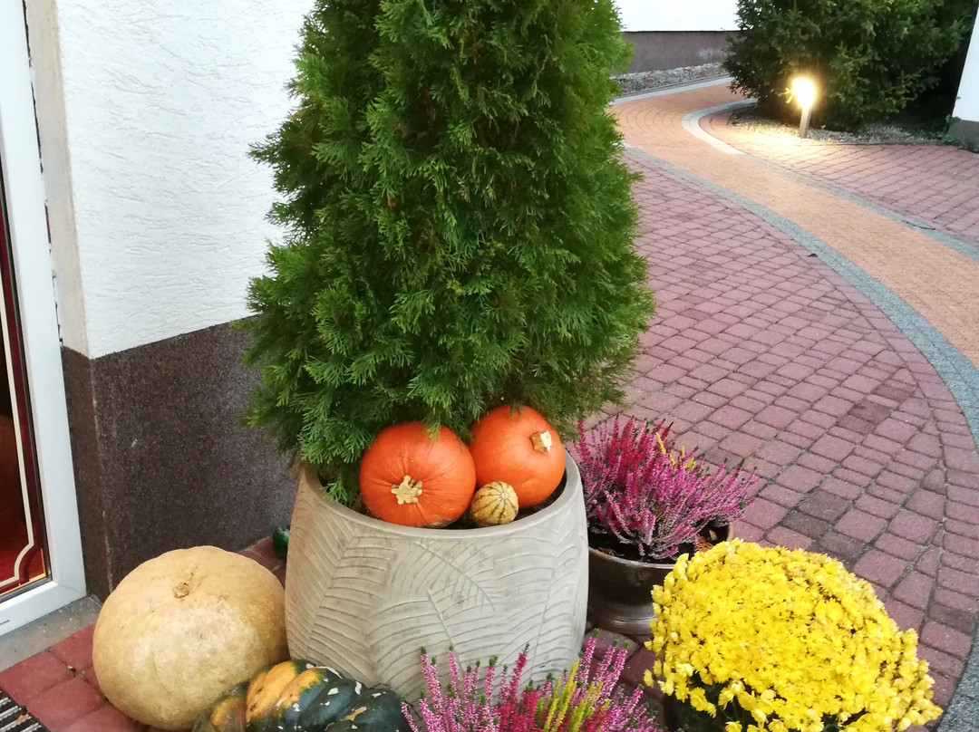 Hotel Pod Jeleniem主图