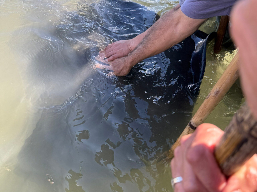 Dive Tatapouri-Gisborne Region必去景点
