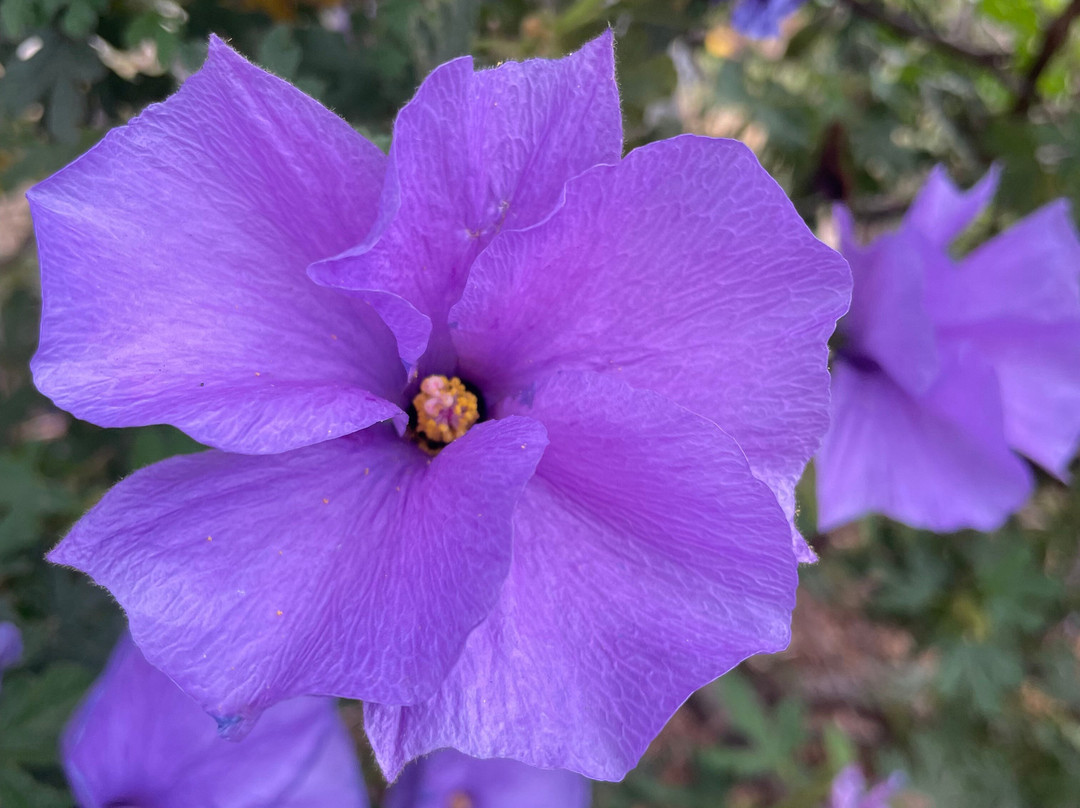 LORD Richard Gavin Gardiner Casey Statue-伯威克必去景点