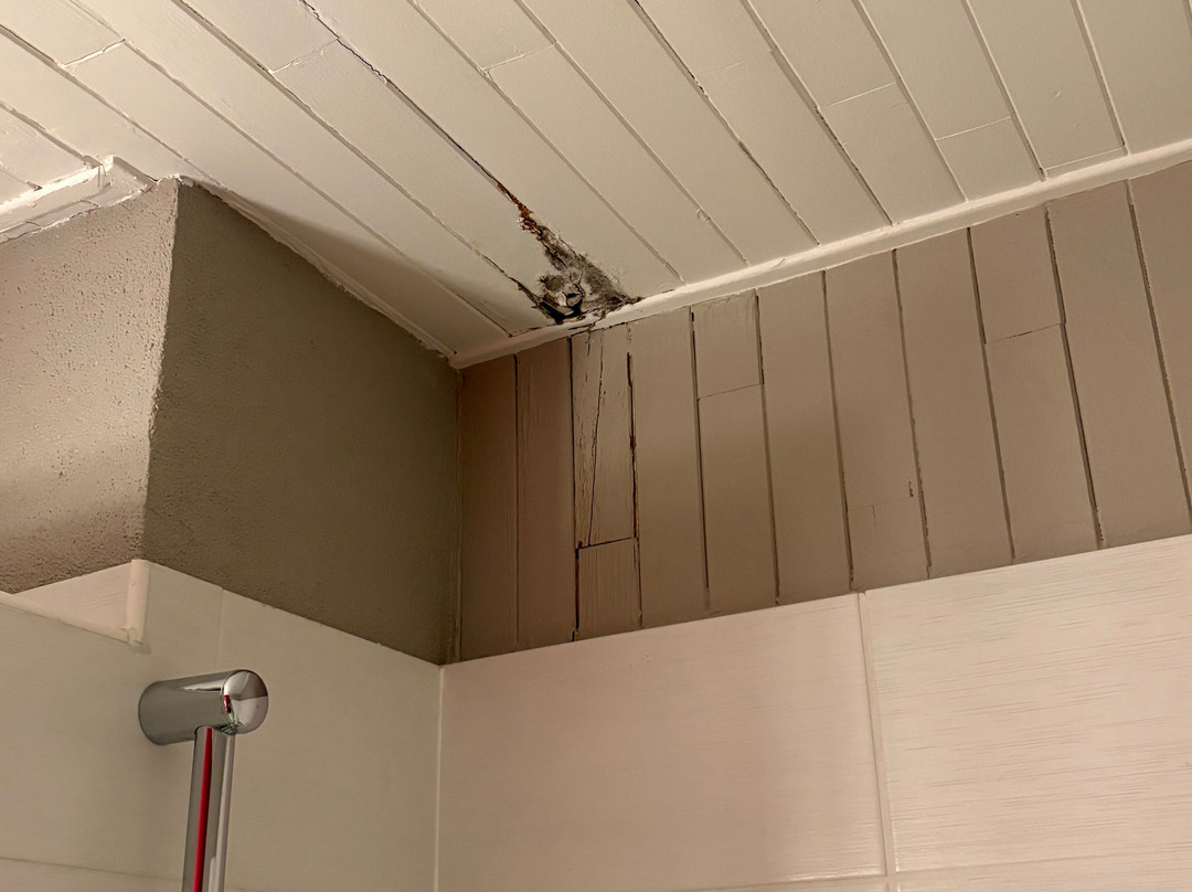 The Originals Access Hotel Arum, Remiremont主图