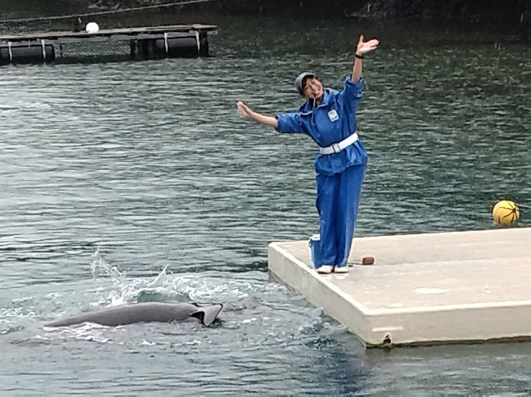 Taiji Whale Museum-太地町必去景点