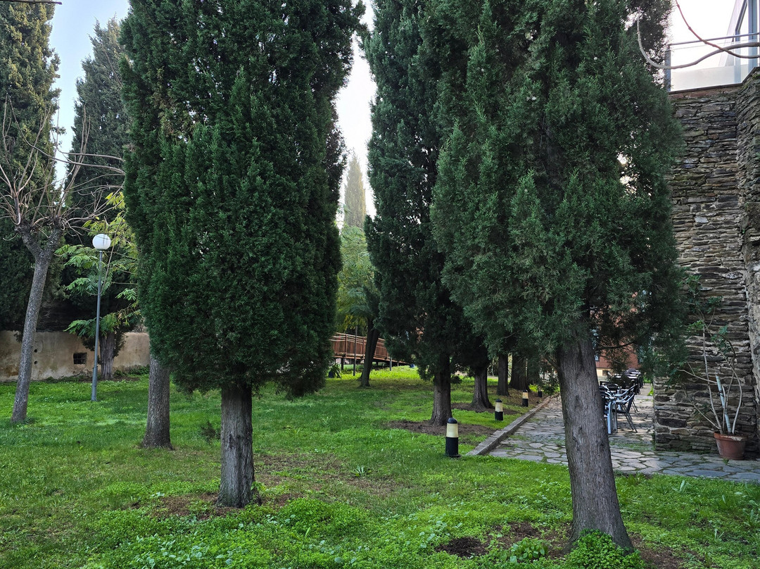 Hospederia Puente de Alconetar主图