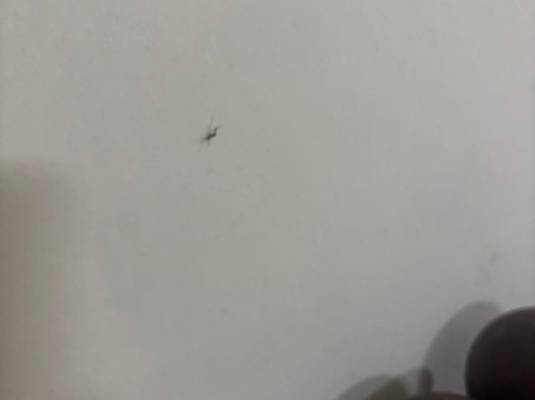 Aranyakam Homestay主图