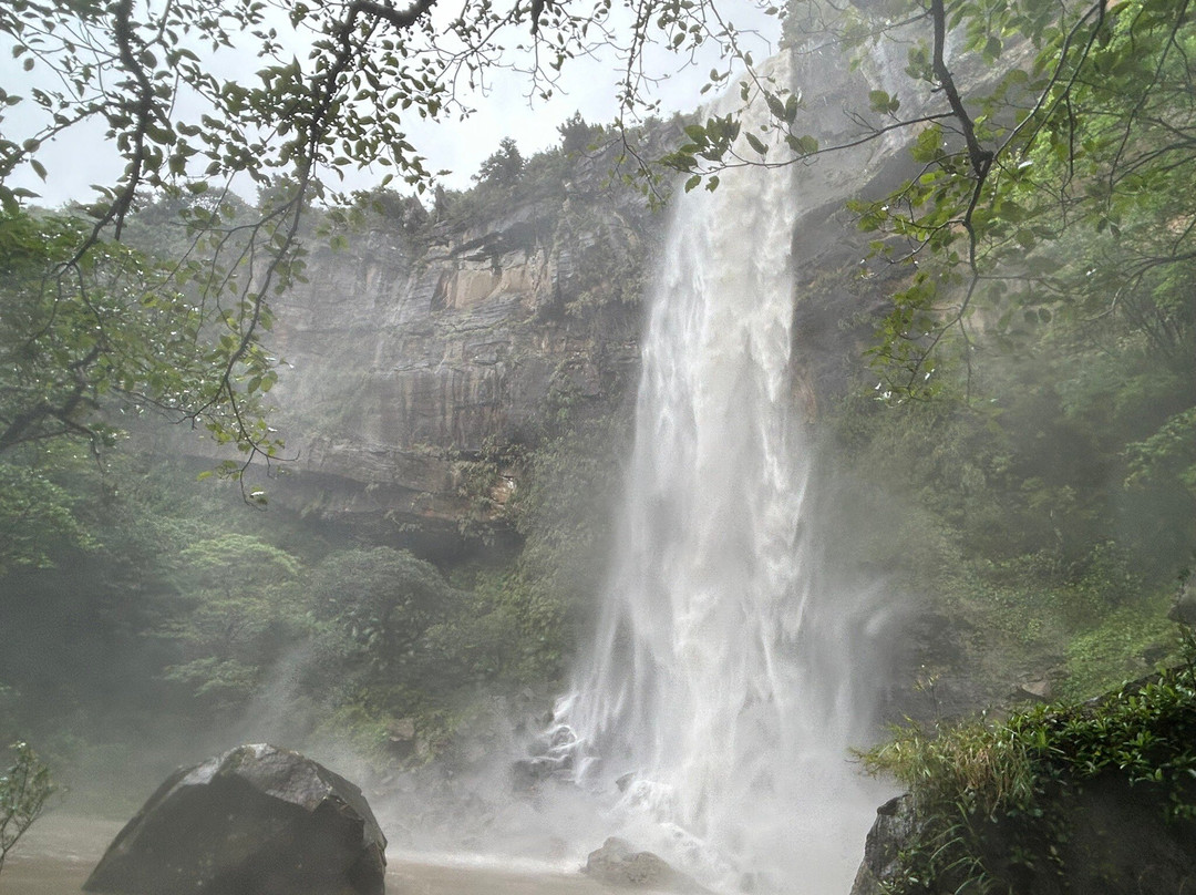 Iriomote Island Kayaks Kazaguruma-竹富町西表岛必去景点
