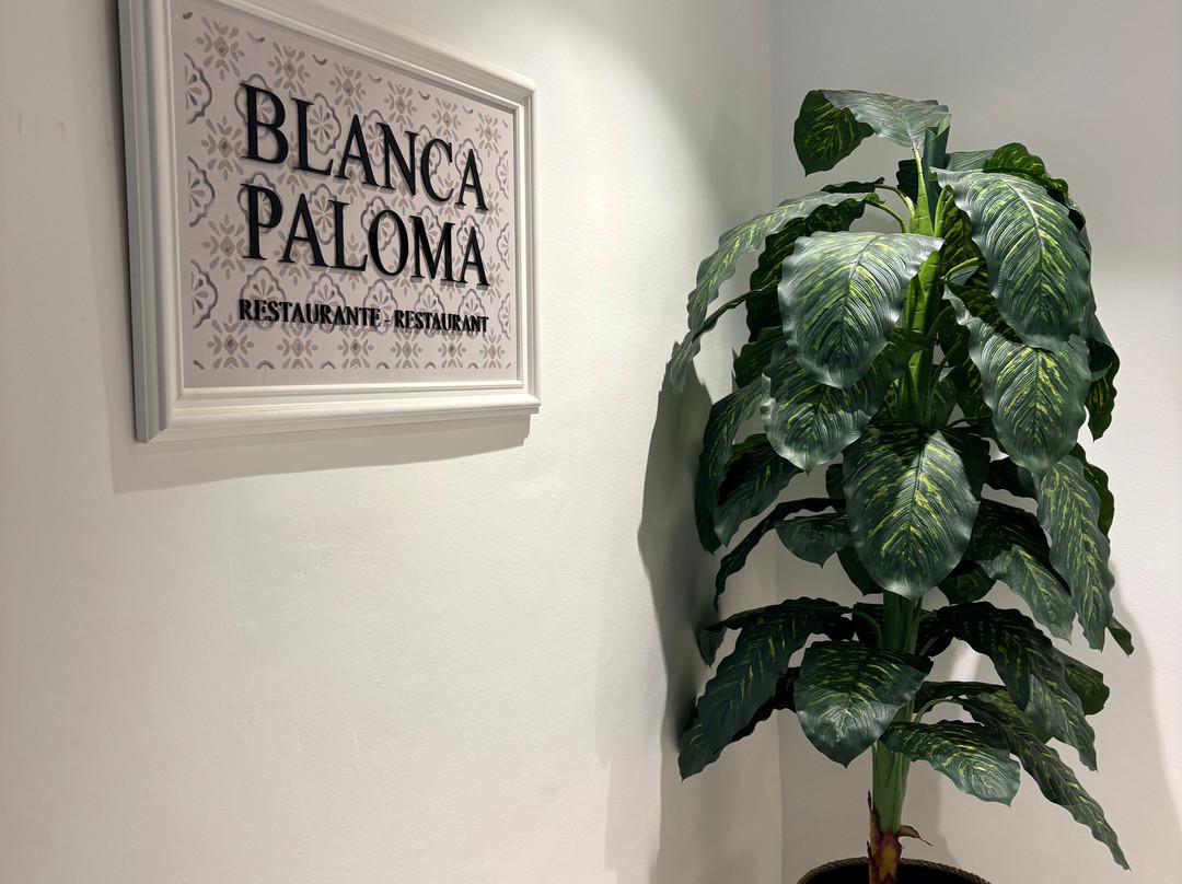 Toruno Del Rocio主图