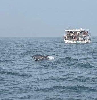 Nathalia Cruise-美蕊沙必去景点