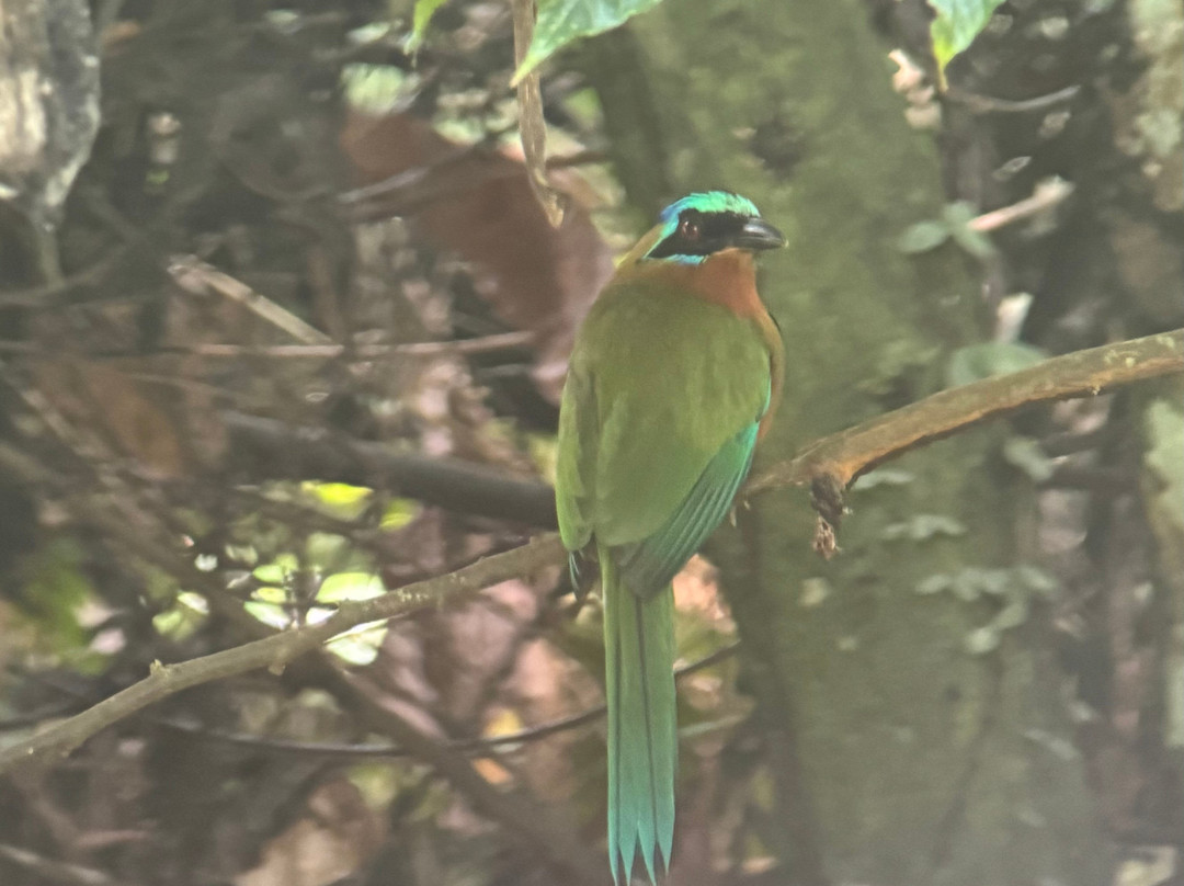 Eureka Natural History Tours-斯卡伯勒必去景点