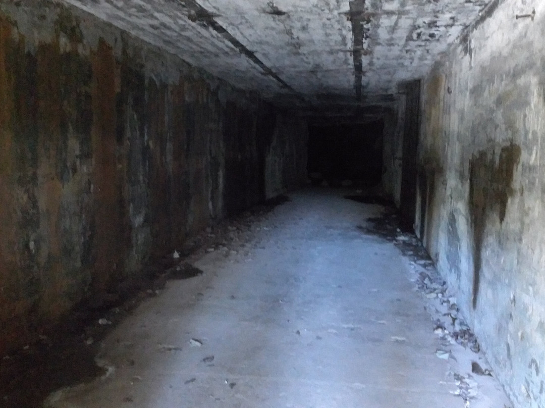 Battery Way-Corregidor Island必去景点