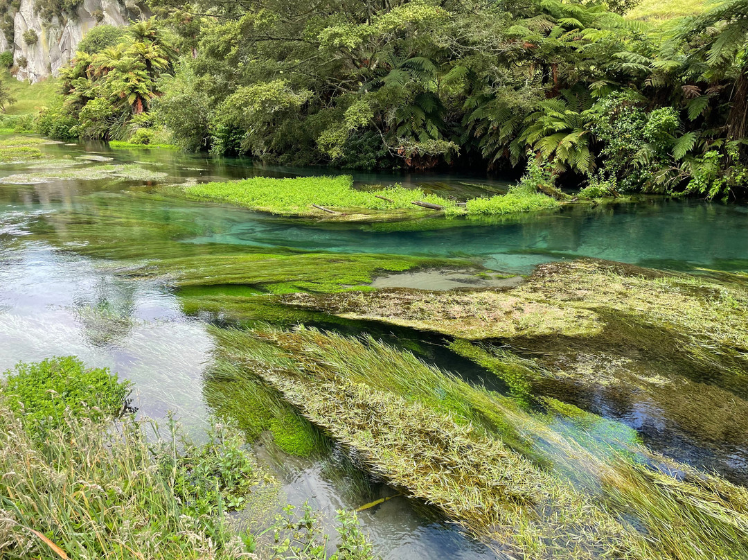 Blue Spring-普塔鲁鲁必去景点