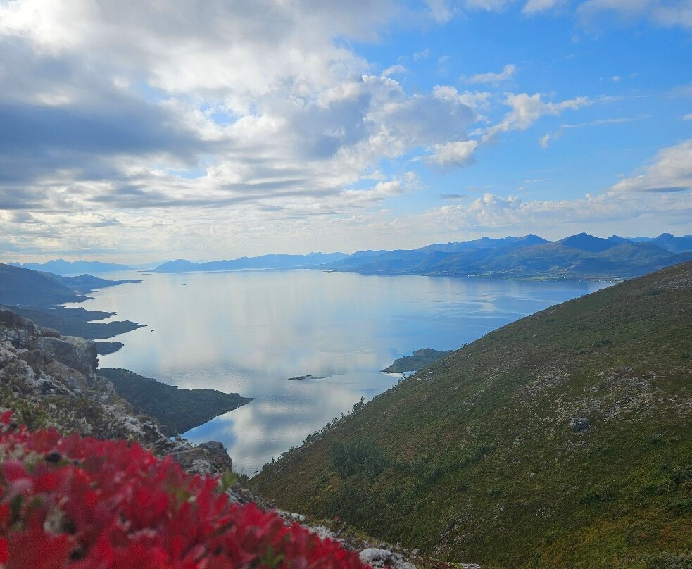 Sigerfjord Village-Sortland必去景点