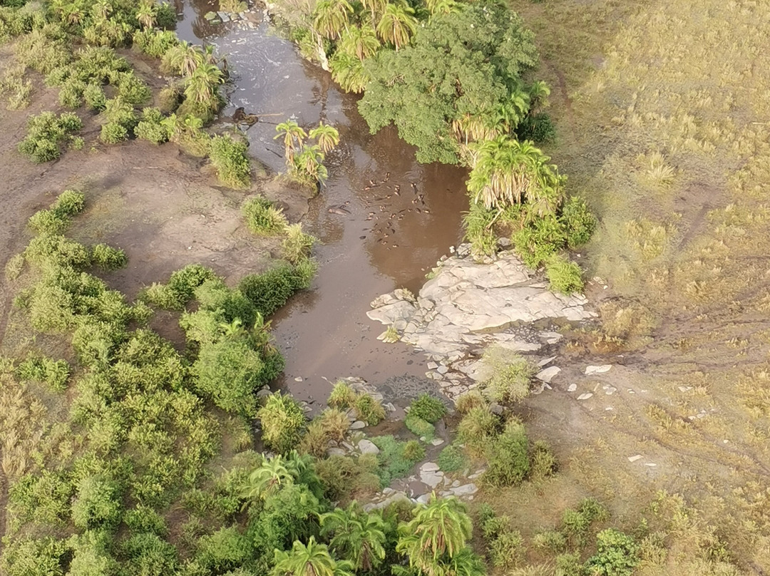 Nyssa Balloon Safaris-Seronera必去景点