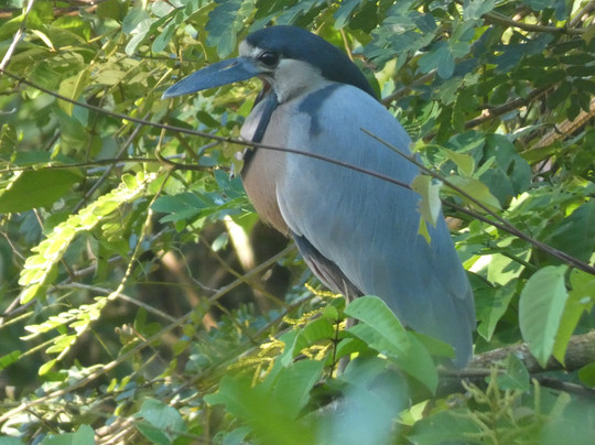 Tours and More CR-圣特雷莎必去景点