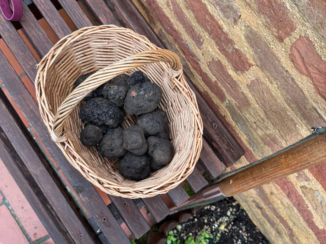 Cooking Classes with Nonna Ciana-卡斯德尔诺沃贝拉登卡必去景点