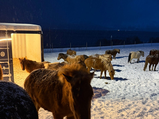 Tromsø Lyngshest-特罗姆瑟必去景点