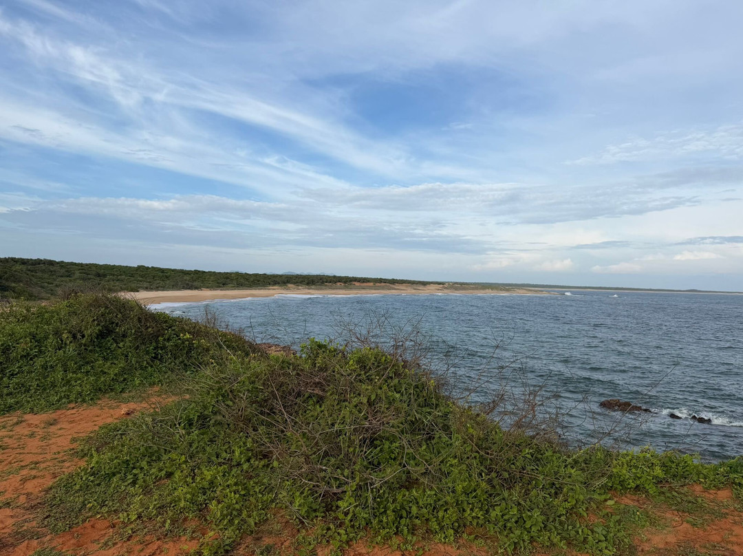 Bundala Safari-Hambantota必去景点