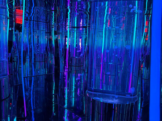 Aquarium At The Boardwalk-布兰森必去景点