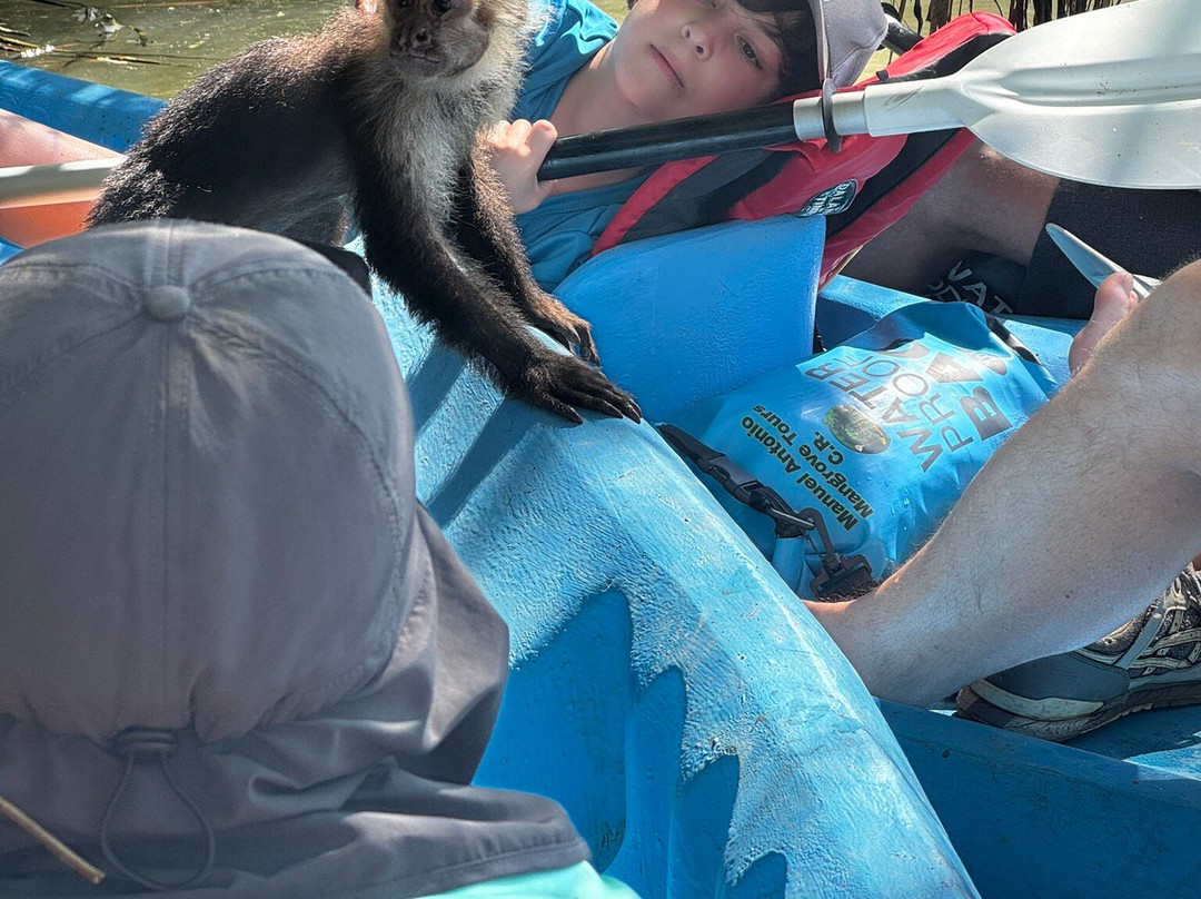 Manuel Antonio Mangrove Tours Cr-克波斯必去景点