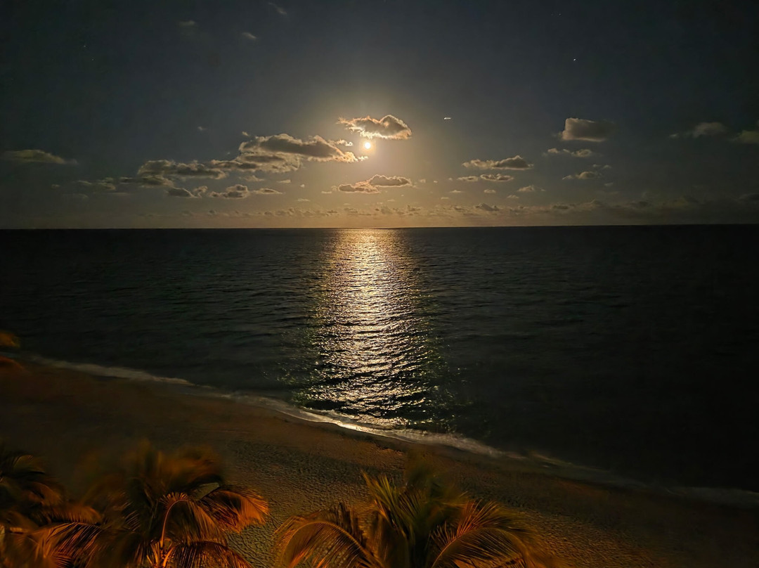 Hillsboro Beach Resort by Kasa主图