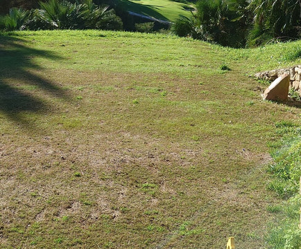 Chaparral Golf Club-米哈斯必去景点