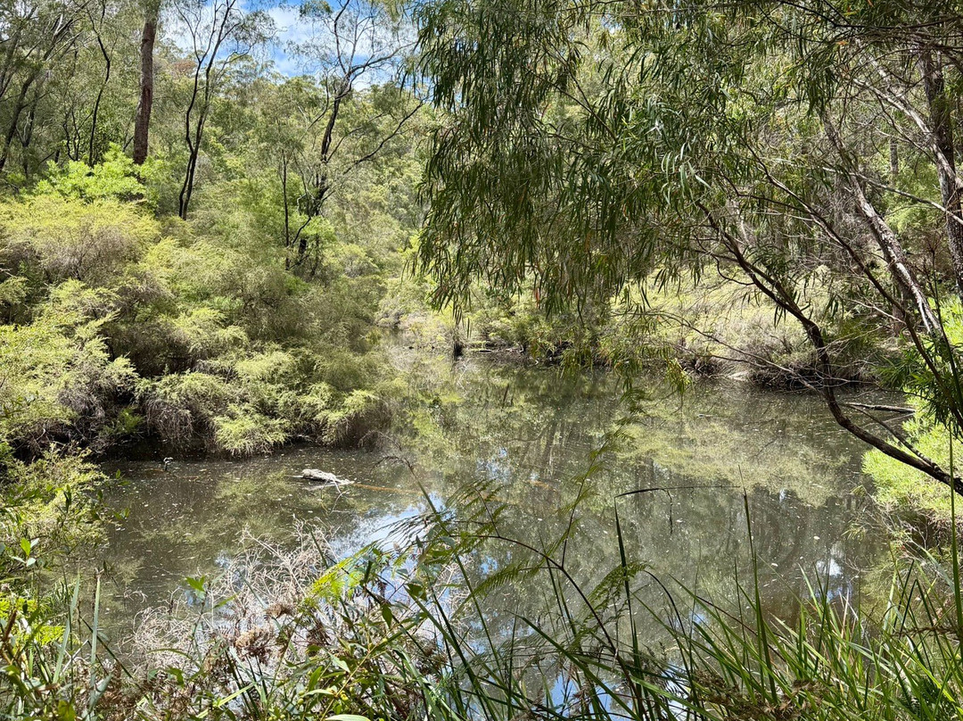 Pemberton Tramway-彭伯顿必去景点