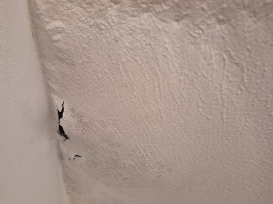 Wingate by Wyndham South Bend/Notre Dame主图