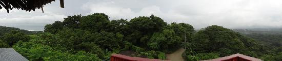 Buena Vista Villas