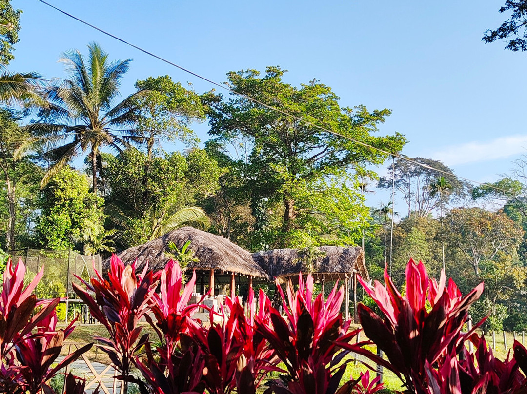 The Windchimes Retreat Coorg主图