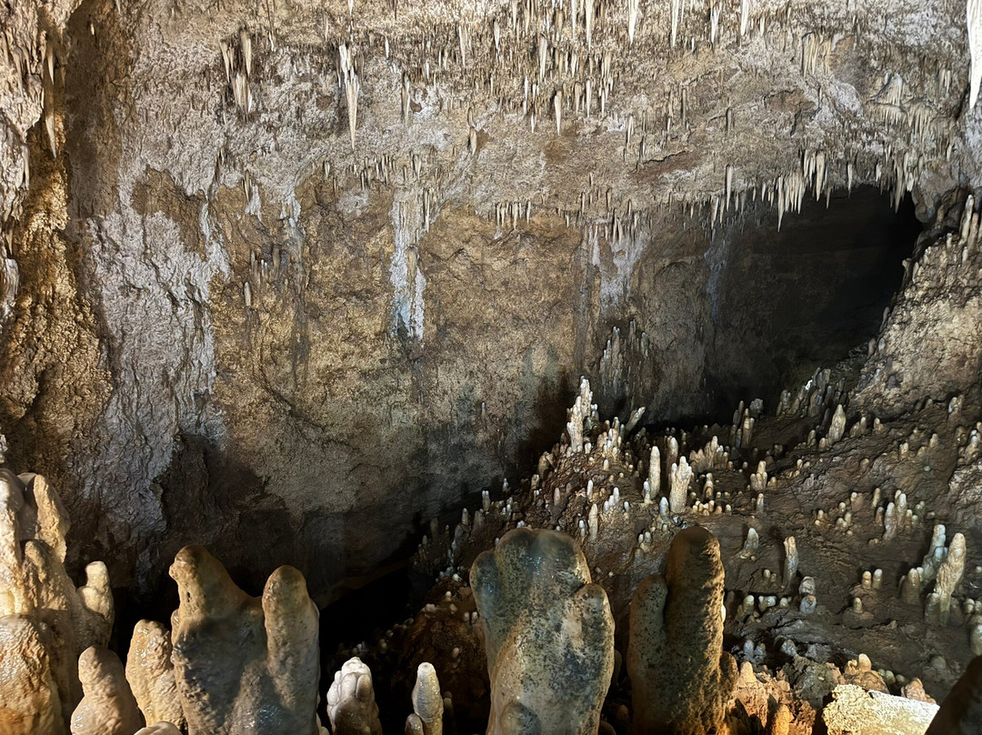 Harrison's Cave Eco-Adventure Park-Saint Thomas Parish必去景点
