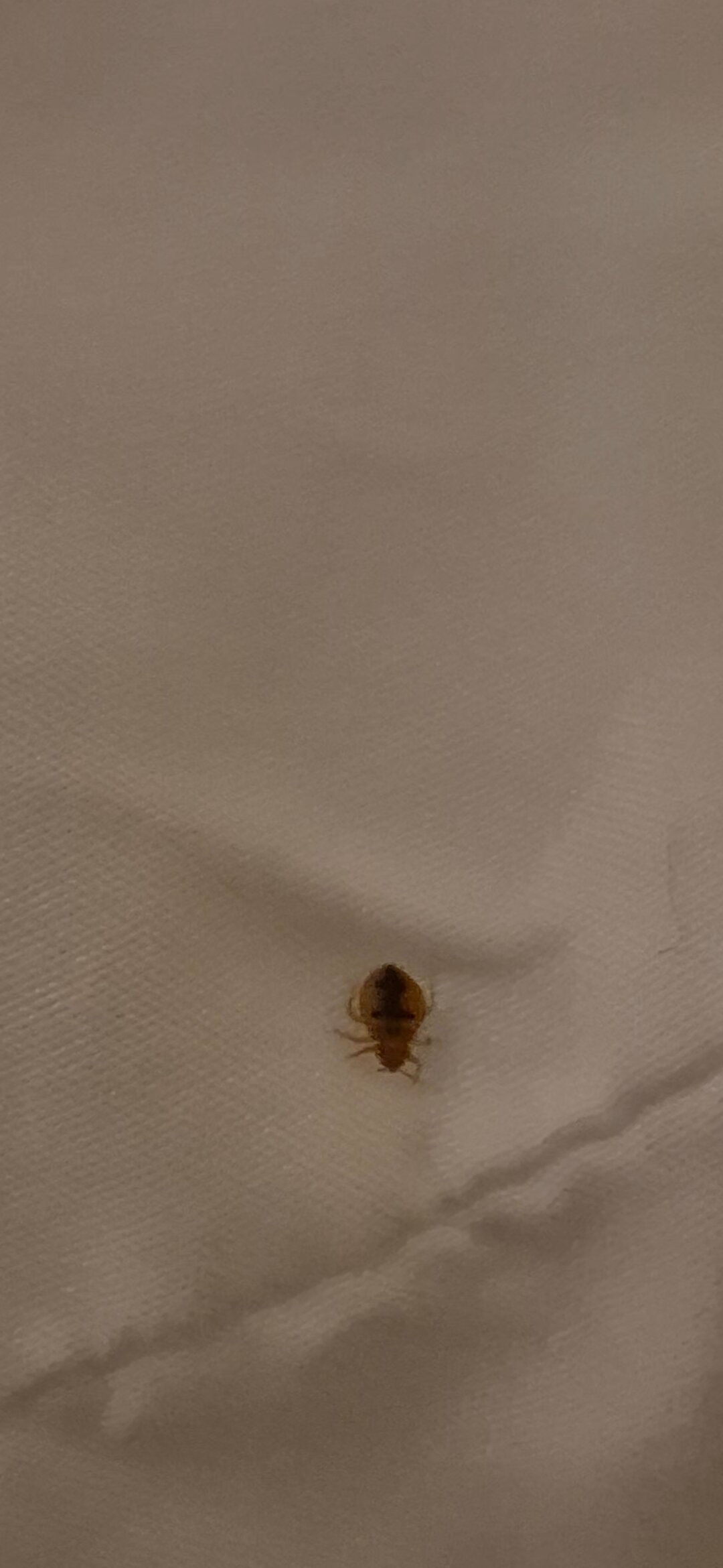 Stone Gate Inn-官方