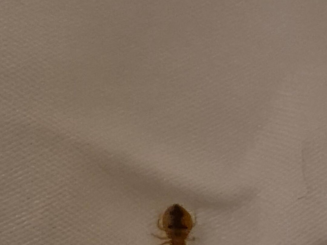 Stone Gate Inn主图