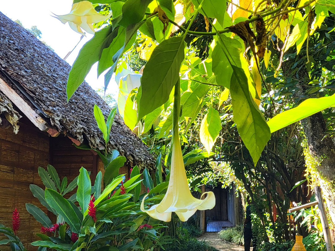 芭派村酒店主图